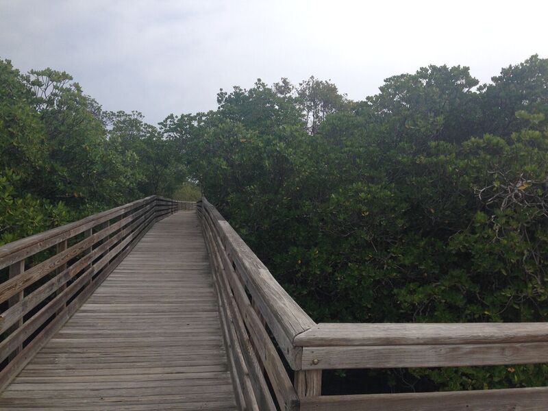 wooden bridge