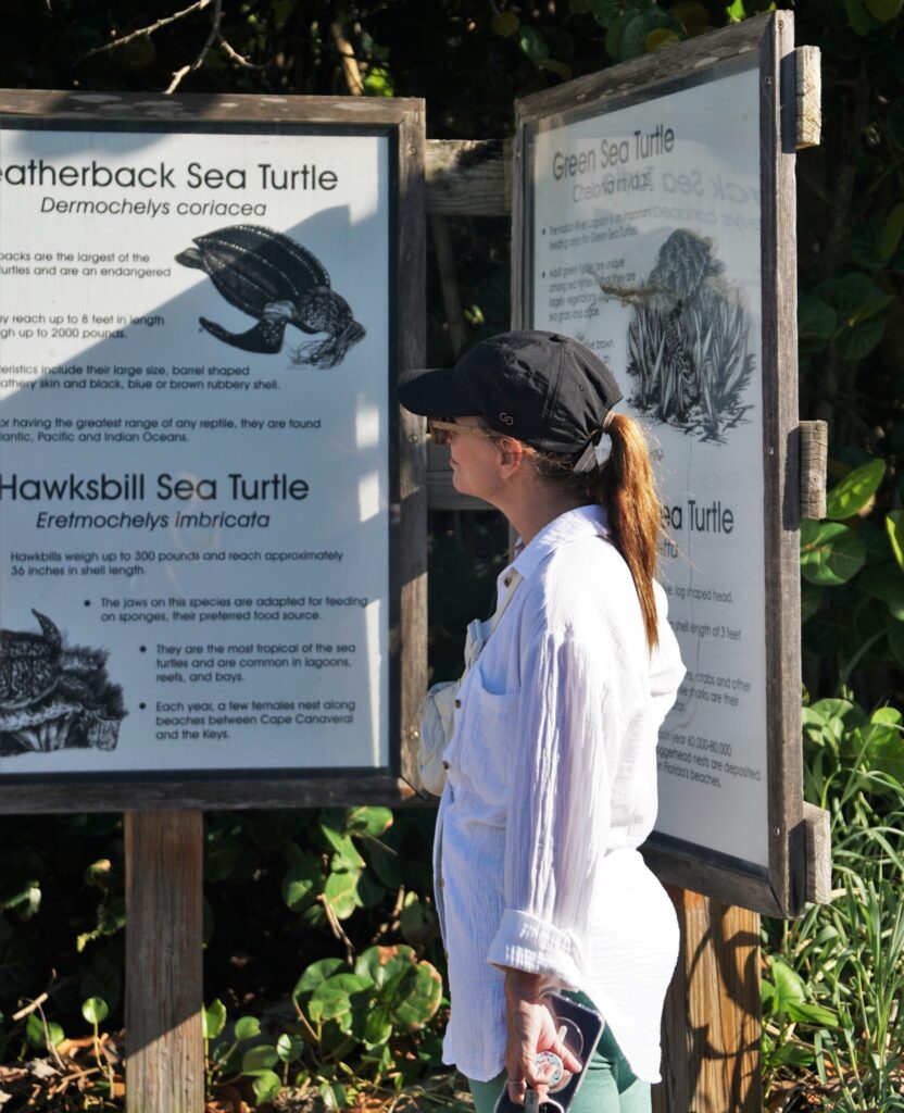 woman looking at a turtle infographic