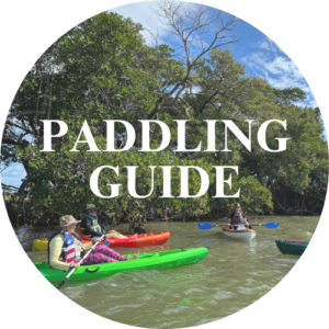 paddling guide