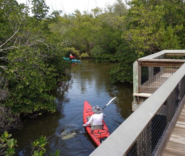 kayakers and bridge