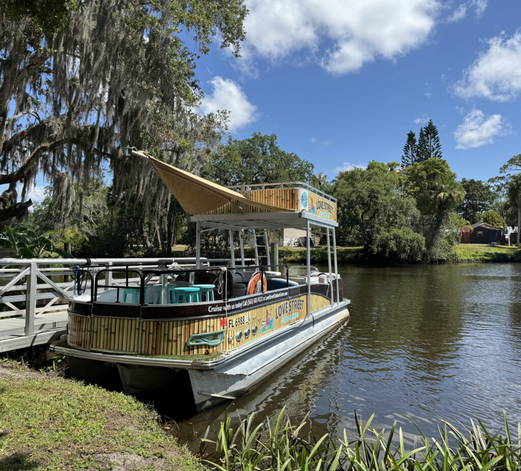 pontoon boat at dock